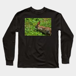 Wild Rabbit and Weeds Long Sleeve T-Shirt